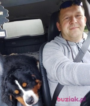 Grzegorz , Mężczyzna, 41, Sutton in Ashfield, Wielka Brytania, Zdjęcie: 3