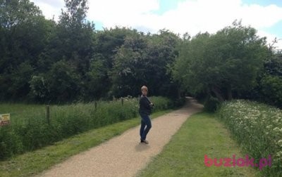 PATRYCJA, Kobieta, 41, Wrocław, Polska, Zdjęcie: 1