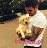 Patryk, Male, 34, Chodzież, Polska, Photo: 1