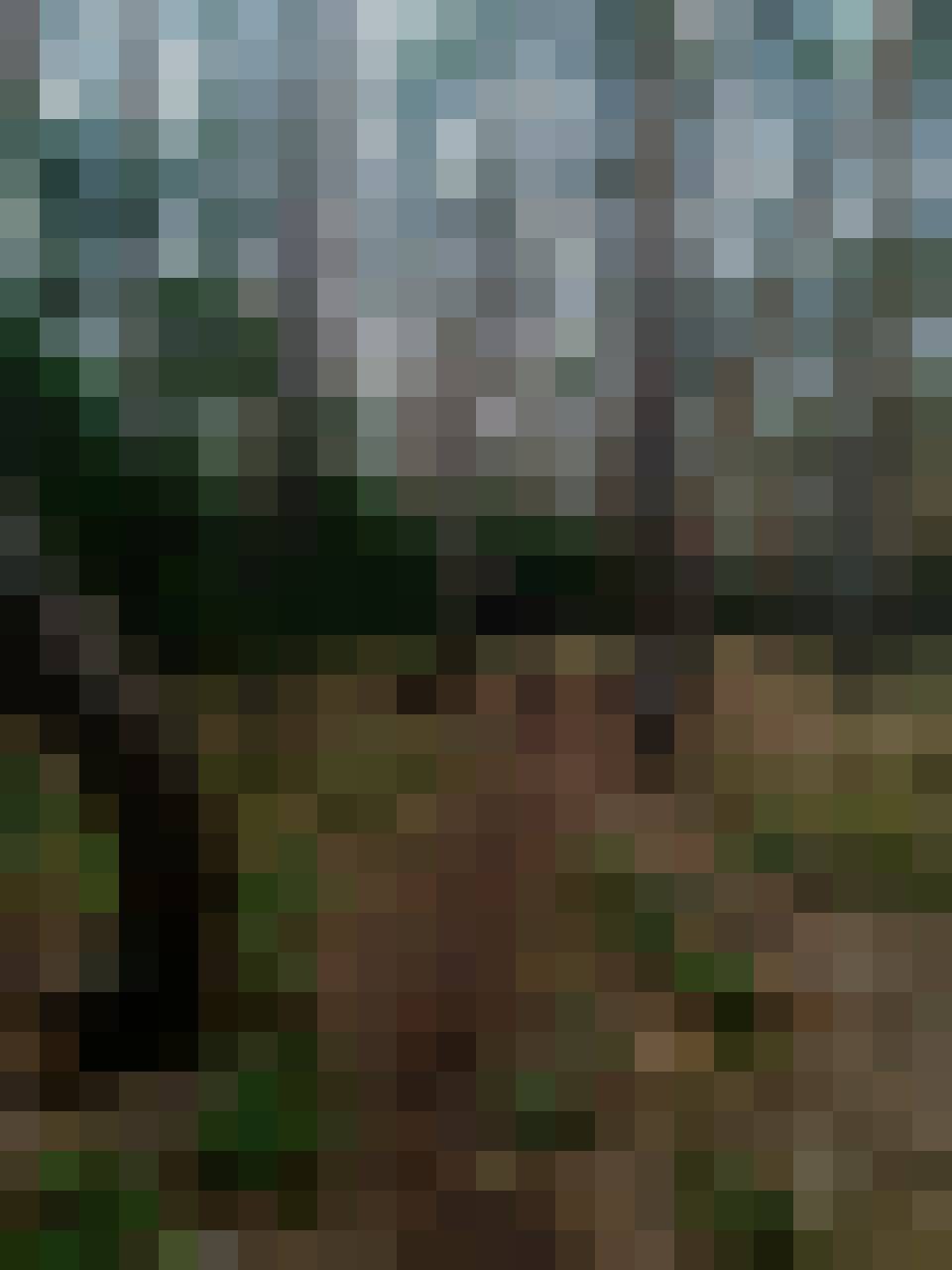 Spokojny, Male, 55, Burton upon Trent, Wielka Brytania, Photo: 2