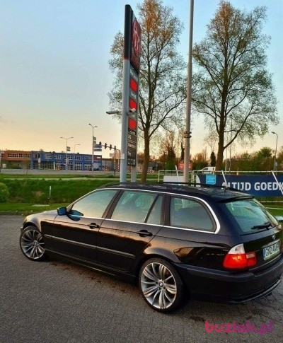 Patryk, Male, 32, Holandia, Photo: 3