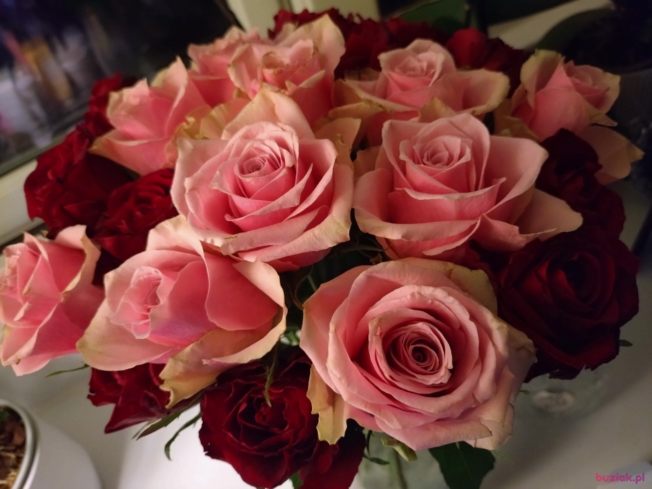 Barbara, Kobieta, 56, Wielka Brytania, Zdjęcie: 2