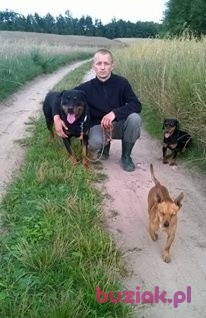 DANIEL , Male, 33, Rypin, Polska: 1