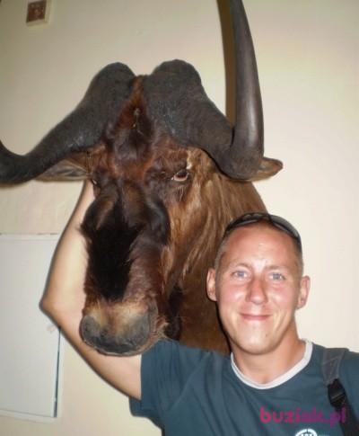 Mariusz, Mężczyzna, 41, Żary, Polska, Zdjęcie: 2