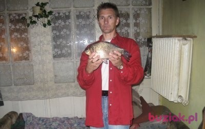 Janusz , Mężczyzna, 56, Słupsk, Polska, Zdjęcie: 3