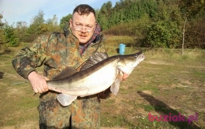 arek3781, Male, 51, Radom, Polska: 1