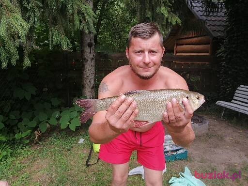 ASH, Male, 42, Jarosław, Polska, Photo: 4