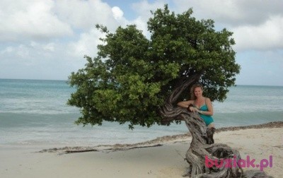 Jolanta , Kobieta, 38, Żory, Polska: 1