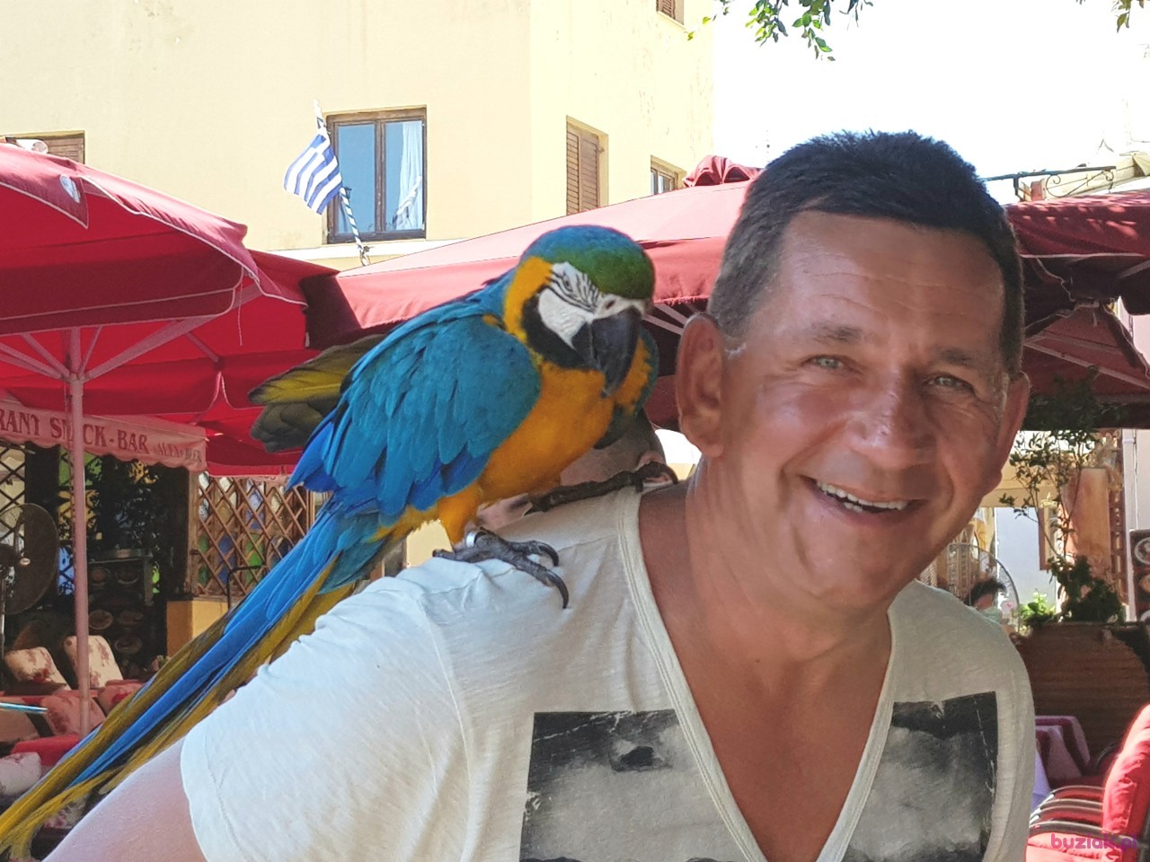 Jan, Male, 54, Westminster, Wielka Brytania: 1