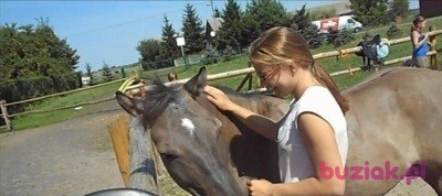 Joanna, Kobieta, 28, Gliwice, Polska, Zdjęcie: 2