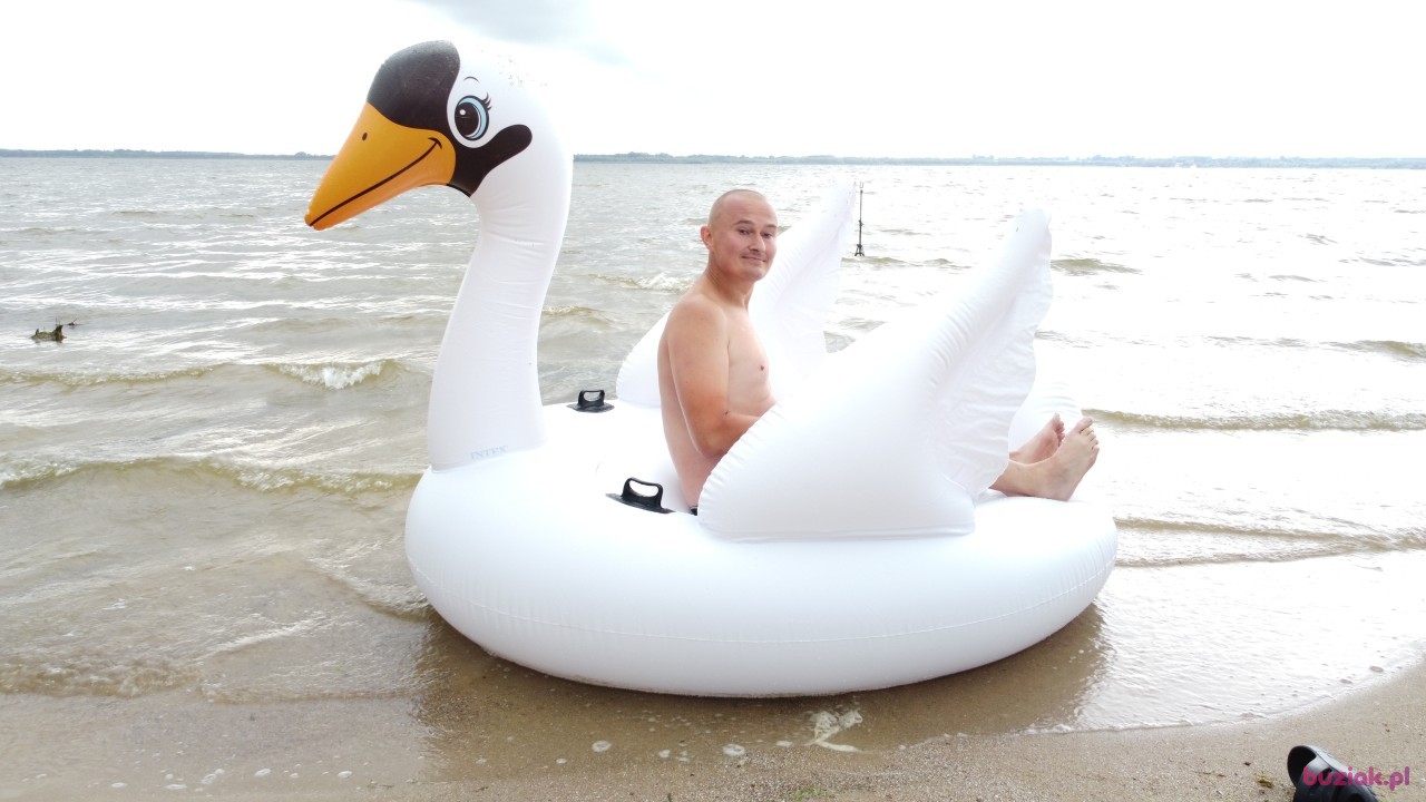Michał, Mężczyzna, 36, Zgierz, Polska, Zdjęcie: 565