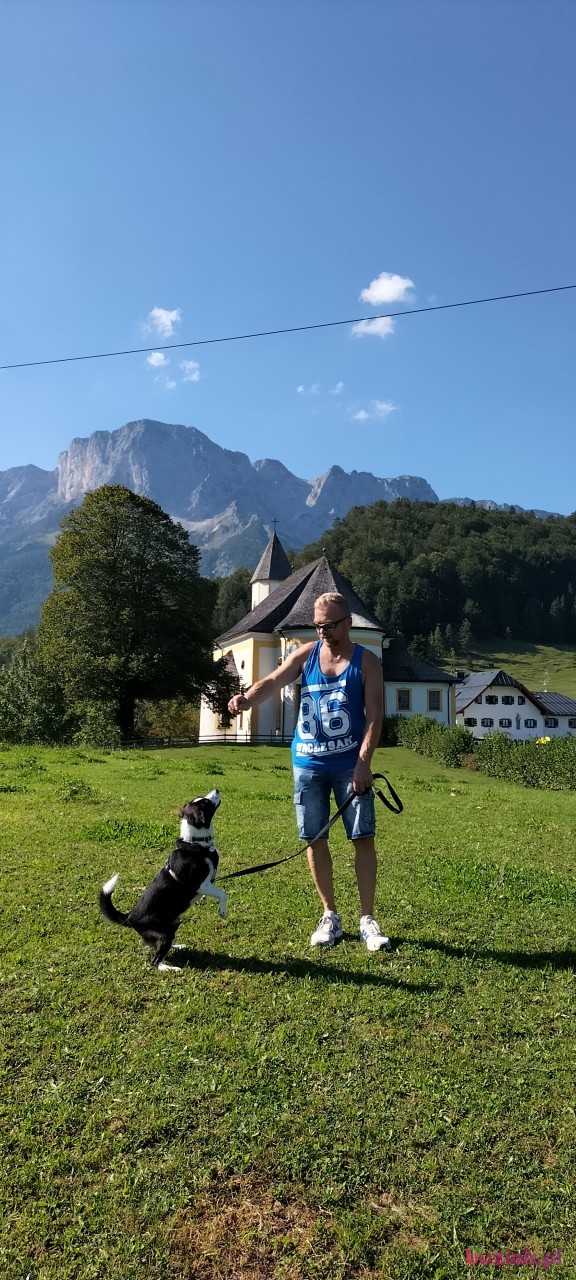 Marek, Male, 59, Munich Upper Bavaria Bavaria, Niemcy, Photo: 6
