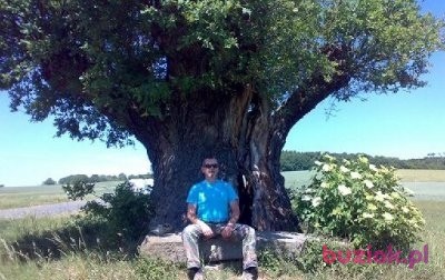 Andrzej, Mężczyzna, 65, Wałbrzych, Polska, Zdjęcie: 4