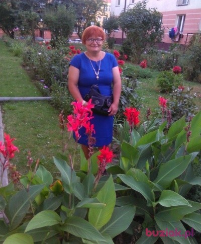 ALICJA, Kobieta, 47, Polska, Zdjęcie: 1