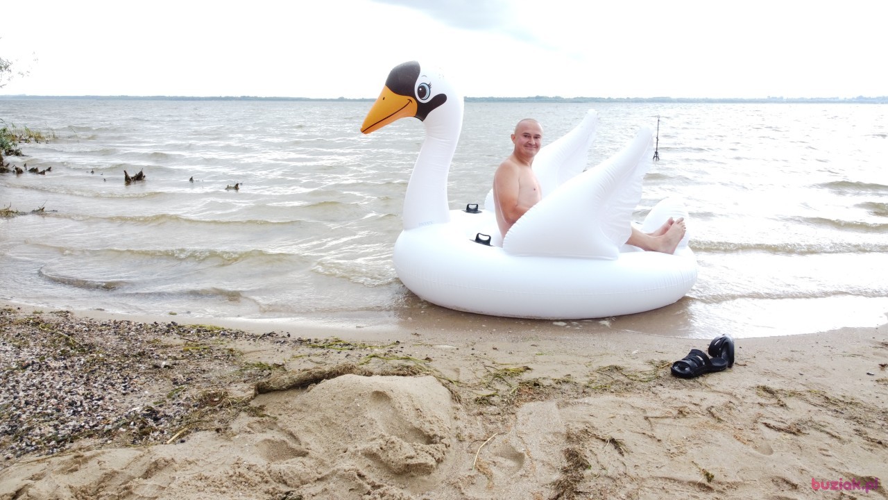 Michał, Mężczyzna, 36, Zgierz, Polska, Zdjęcie: 563