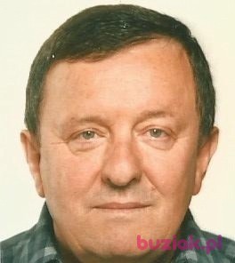 zibi, Mężczyzna, 72, Bydgoszcz, Polska, Zdjęcie: 2