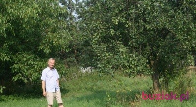 Janusz, Male, 69, Skoczów, Polska, Photo: 2
