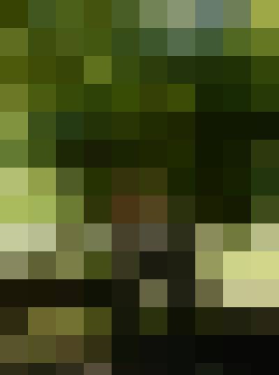 elka, Female, 38, Polska, Photo: 3