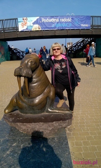 Jolanta, Kobieta, 69, Pabianice, Polska, Zdjęcie: 4