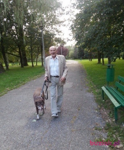 jerzy, Mężczyzna, 74, Kraków, Polska, Zdjęcie: 4