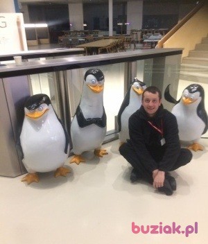 Maciej , Male, 35, Wielka Brytania, Photo: 3