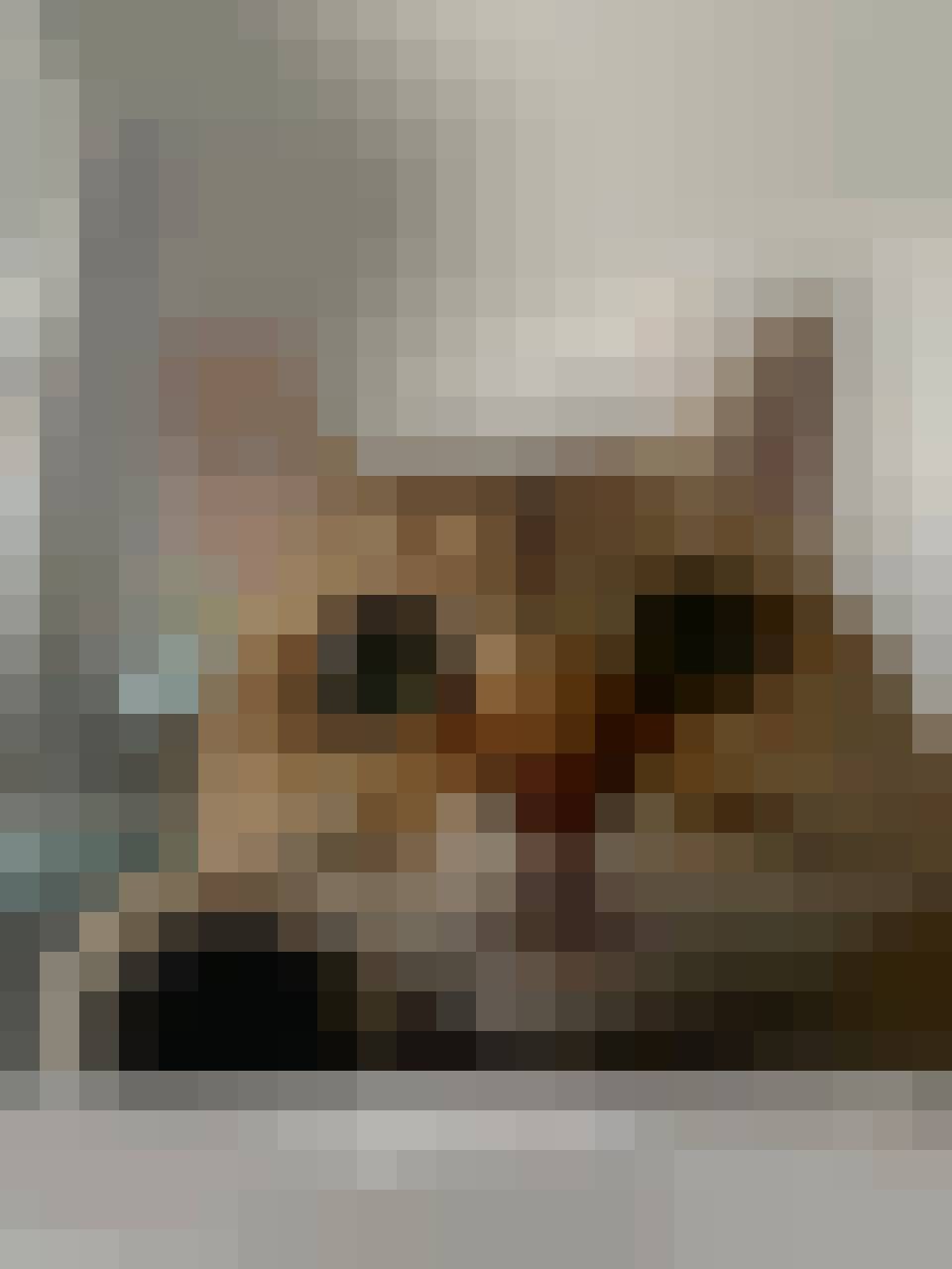 Jony, Male, 28, Wolgast Usedom Island Mecklenburg West Pomerania, Niemcy: 1