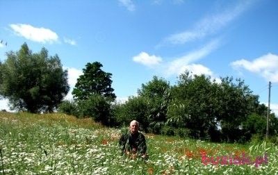 zdzisław, Male, 79, Głogów, Polska, Photo: 1