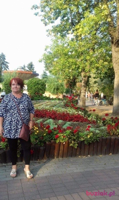 danuta, Kobieta, 66, Kalisz, Polska, Zdjęcie: 4