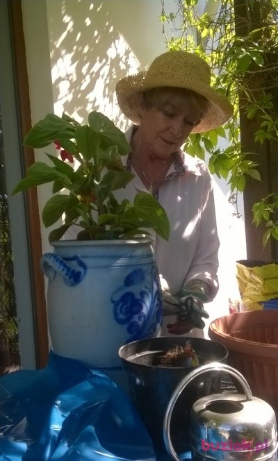 Beata, Kobieta, 62, Kościerzyna, Polska, Zdjęcie: 1