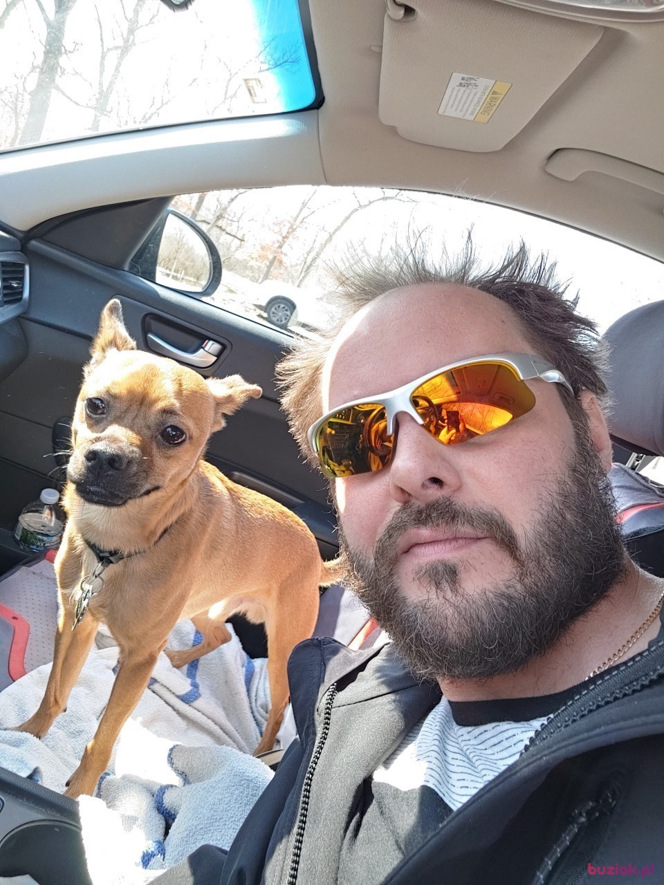 Zell1984, Mężczyzna, 41, Chicago Illinois, USA, Zdjęcie: 3