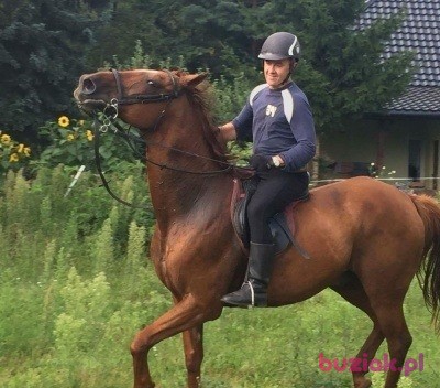 Lech, Male, 56, Mława, Polska, Photo: 5