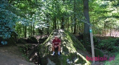 Mariusz, Mężczyzna, 44, Łódź, Polska, Zdjęcie: 3