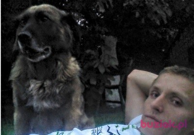 Paweł, Male, 35, Nowy Tomyśl, Polska, Photo: 2