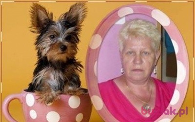 Maria, Female, 67, Kudowa Zdrój, Polska, Photo: 1