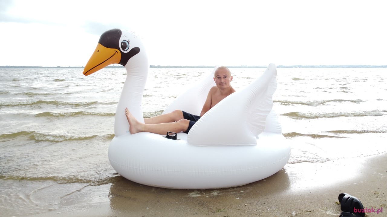 Michał, Mężczyzna, 36, Zgierz, Polska, Zdjęcie: 537
