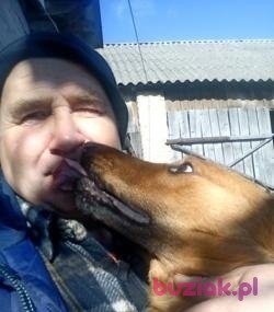 Grzegrz, Mężczyzna, 63, Kock, Polska, Zdjęcie: 2