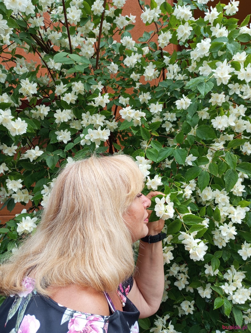 renata, Female, 63, Pionki, Polska, Photo: 3