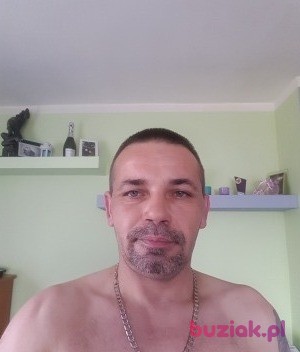 zbyszek, Mężczyzna, 53, Holandia, Zdjęcie: 1