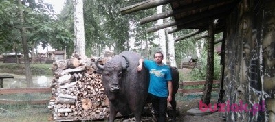 bartosz, Male, 41, Namysłów, Polska: 1