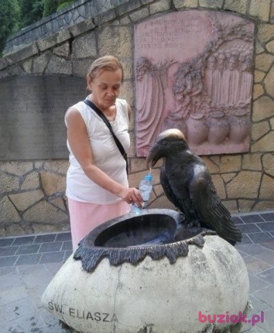 GRAZYNA, Female, 71, Warszawa, Polska, Photo: 1