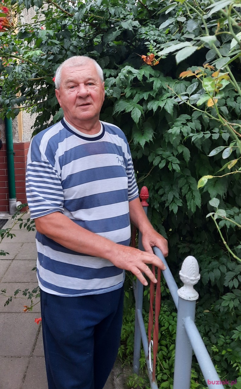 Kazimierz, Mężczyzna, 74, Oława, Polska, Zdjęcie: 3