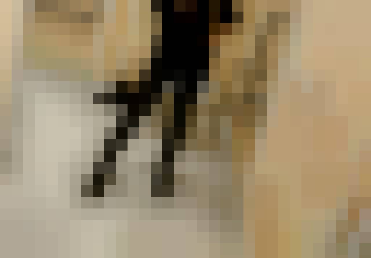 Pati, Female, 39, Łódź, Polska: 1