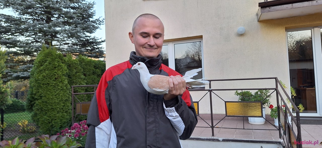 Michał, Mężczyzna, 36, Zgierz, Polska, Zdjęcie: 311