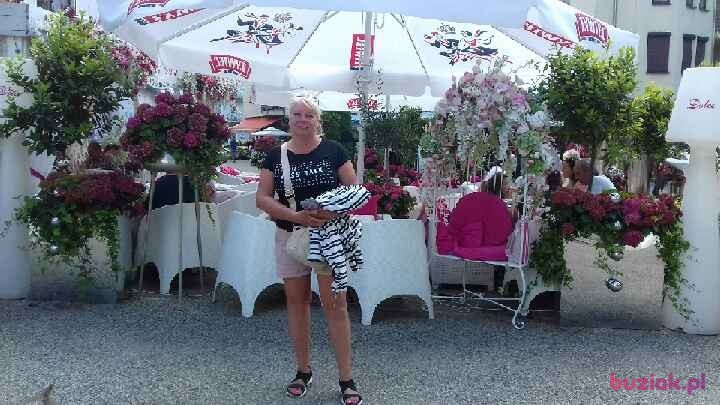 Irena, Kobieta, 56, Kamienna Góra, Polska, Zdjęcie: 6