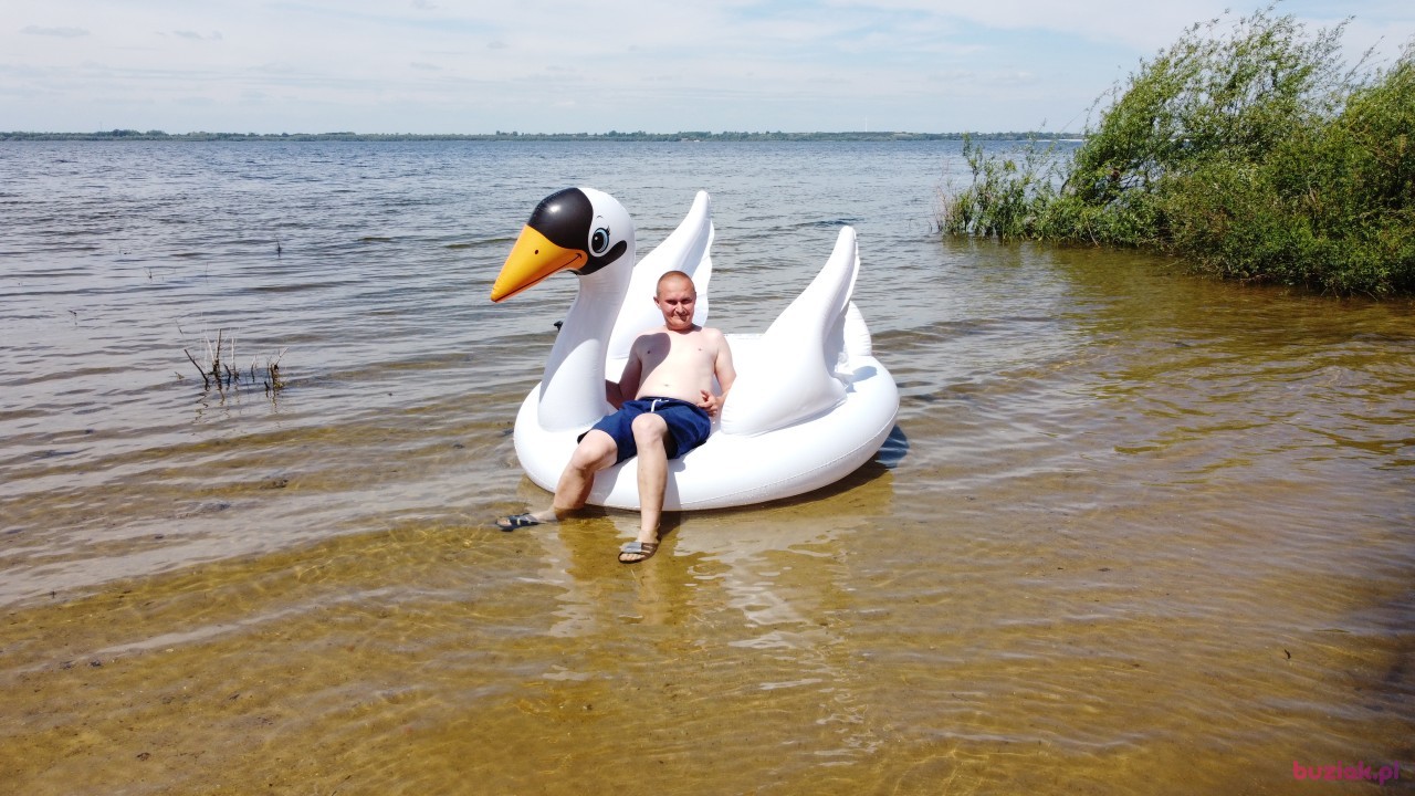 Michał, Mężczyzna, 36, Zgierz, Polska, Zdjęcie: 382