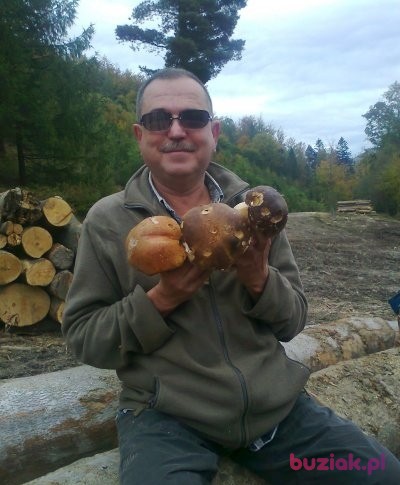 jacek102, Mężczyzna, 64, Bielsko-Biała, Polska, Zdjęcie: 3