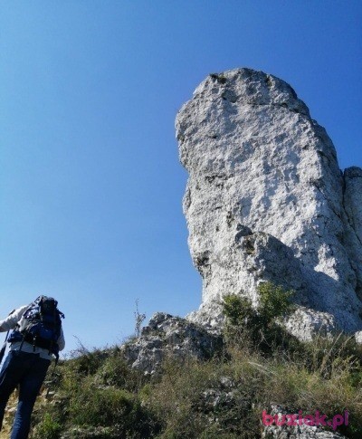 Wookie, Mężczyzna, 50, Tychy, Polska, Zdjęcie: 4
