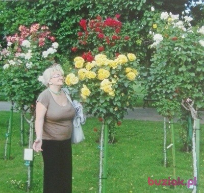 danuta, Female, 78, Warszawa, Polska, Photo: 1