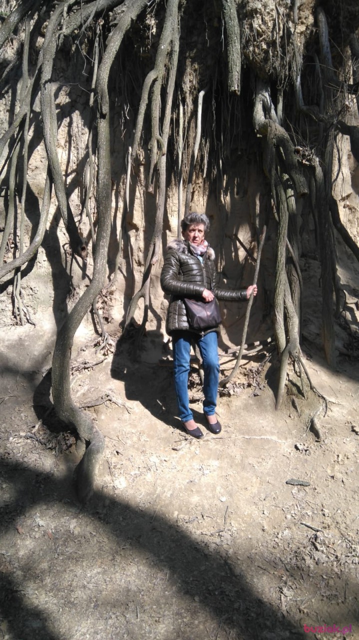 mieczysława, Female, 71, Kraków, Polska, Photo: 2
