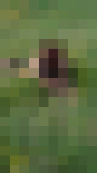Sylwia, Kobieta, 52, Dąbrowa Górnicza, Polska, Zdjęcie: 7